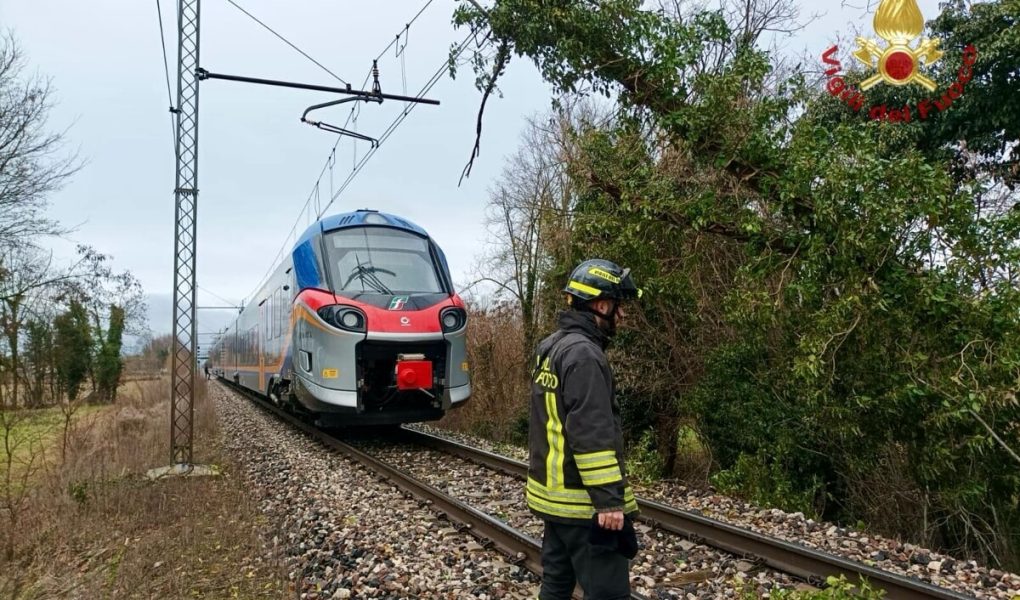 Raffiche Di Vento Forte Albero Sulla Linea Del Treno Bassano Venezia A